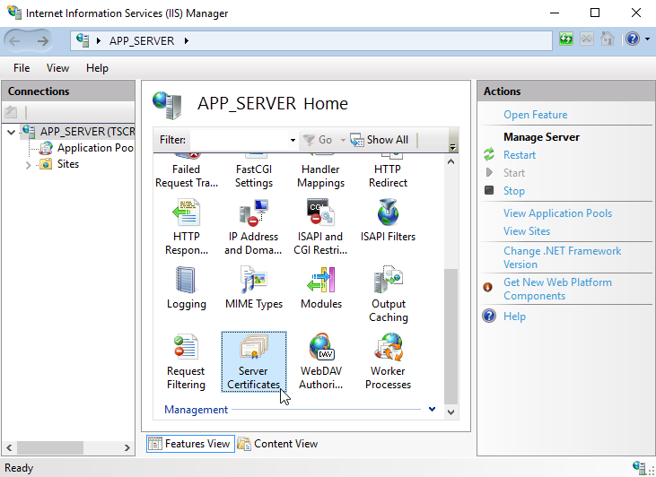 scr_chapter_setup_http_wnd_iis_server_certificates.png